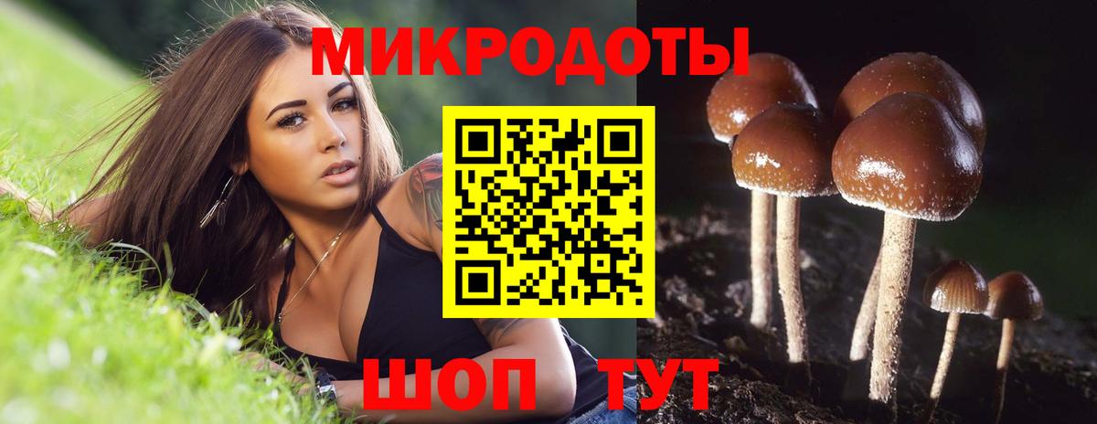 Псилоцибиновые грибы Magic Shrooms Горно-Алтайск