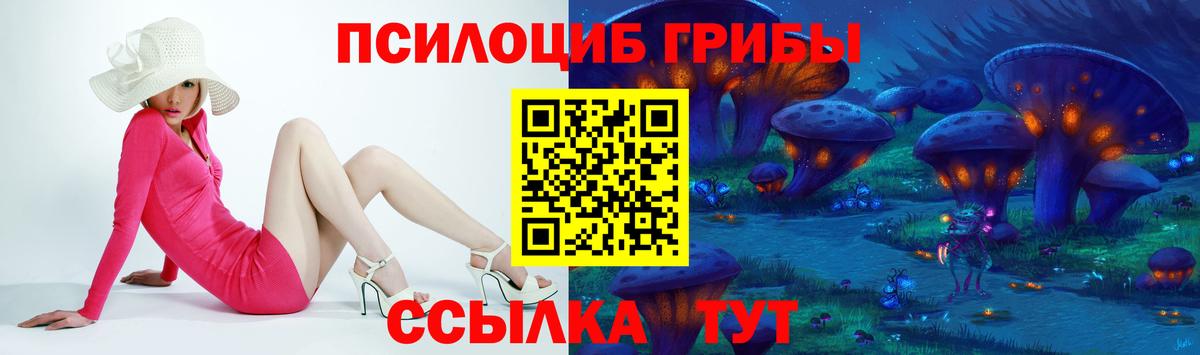 Горно-Алтайск  Галлюциногенные грибы мицелий  Вход с VPN 